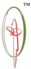 ced logo small.webp